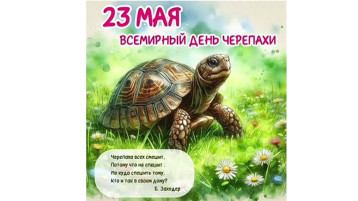 Всемирный день черепахи! Всемирный день черепахи!.